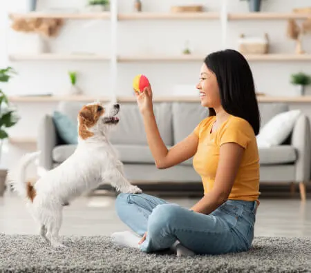 playing with dog