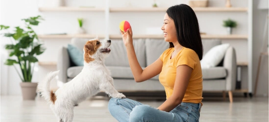 playing with dog