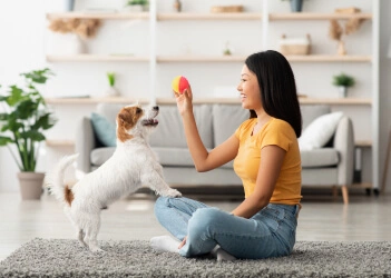 playing with dog